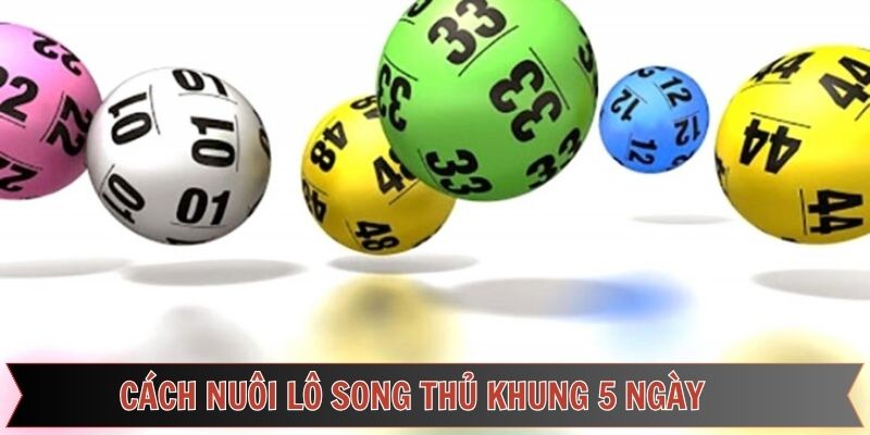 Cách nuôi lô song thủ khung 5 ngày từ chuyên gia
