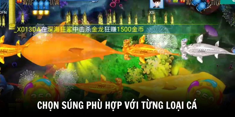 Dùng súng phù hợp với từng loại cá
