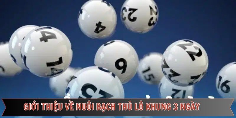 Giới thiệu về phương pháp hiệu quả từ 69VN