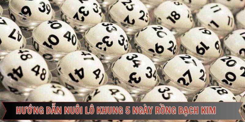 Cách bước để giúp tạo lô khung 5 ngày rồng bạch kim