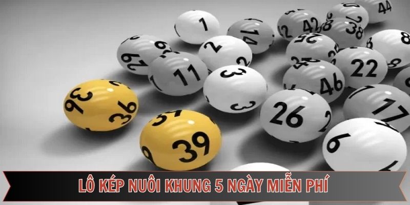Lô kép nuôi khung 5 ngày miễn phí