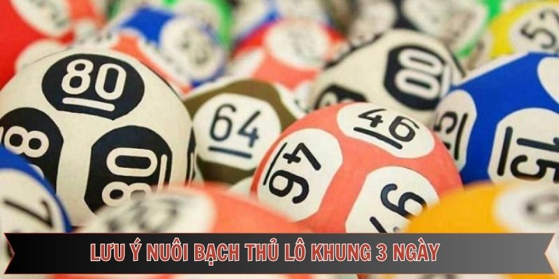 Một vài lưu ý đặc biệt khi nuôi bạch thủ lô khung 3 ngày