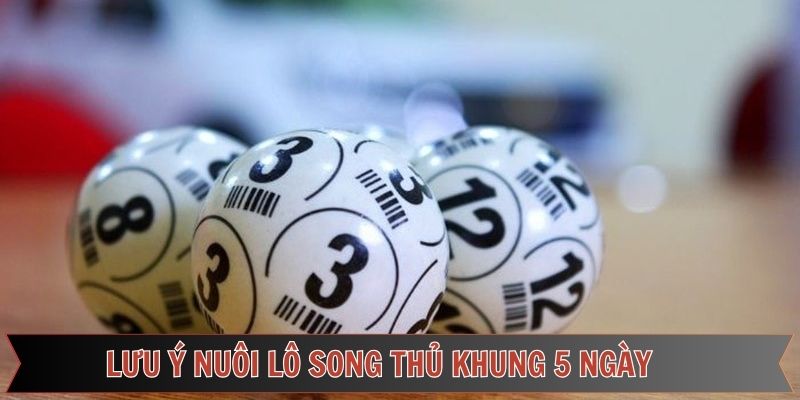 Chú ý khi nuôi lô song thủ khung 5 ngày
