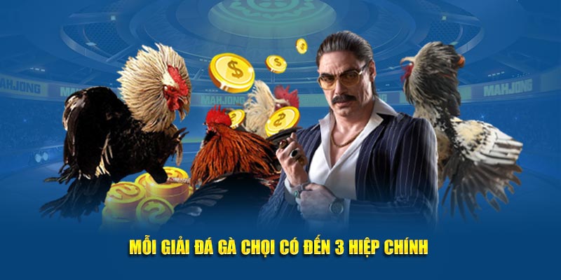 Mỗi giải đá gà chọi có đến 3 hiệp chính 