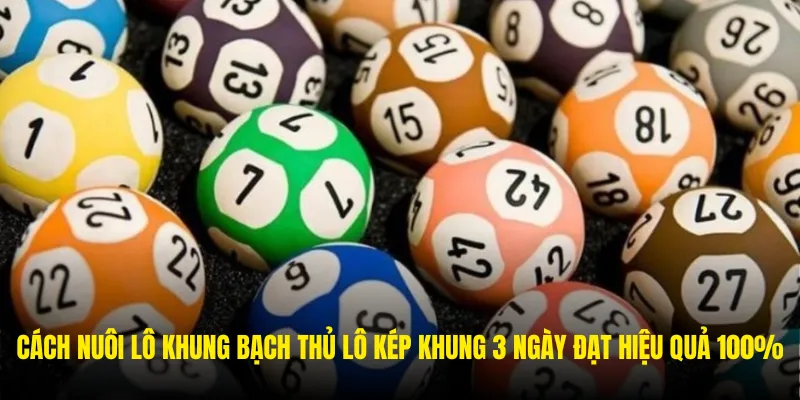 Các phương pháp nuôi khung bạch thủ lô kép khung 3 ngày