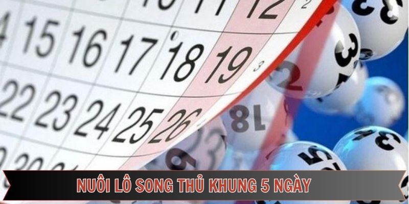 Nuôi lô song thủ khung 5 ngày