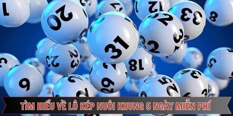 Tìm hiểu khái quát về lô kép nuôi khung 5 ngày 