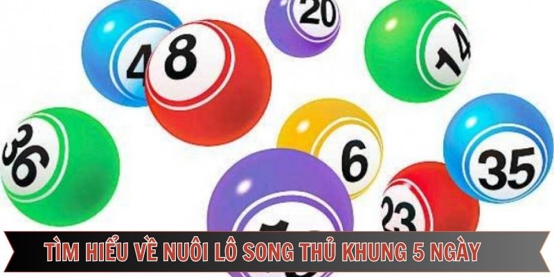 Tổng quan phương pháp nuôi lô đề hiệu quả