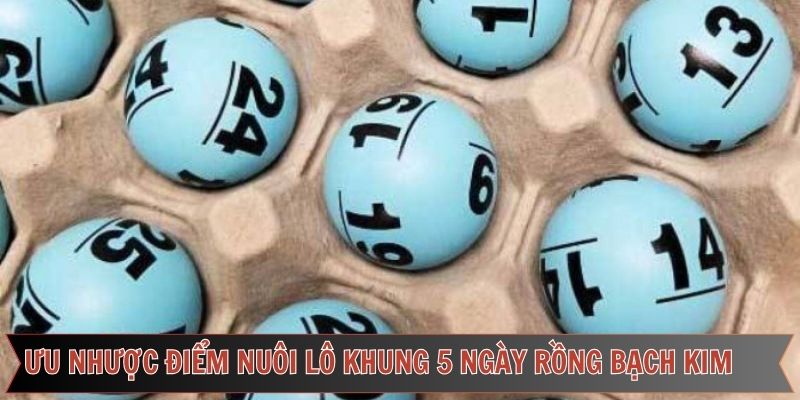 Lợi thế khi nuôi lô khung 5 ngày rồng bạch kim